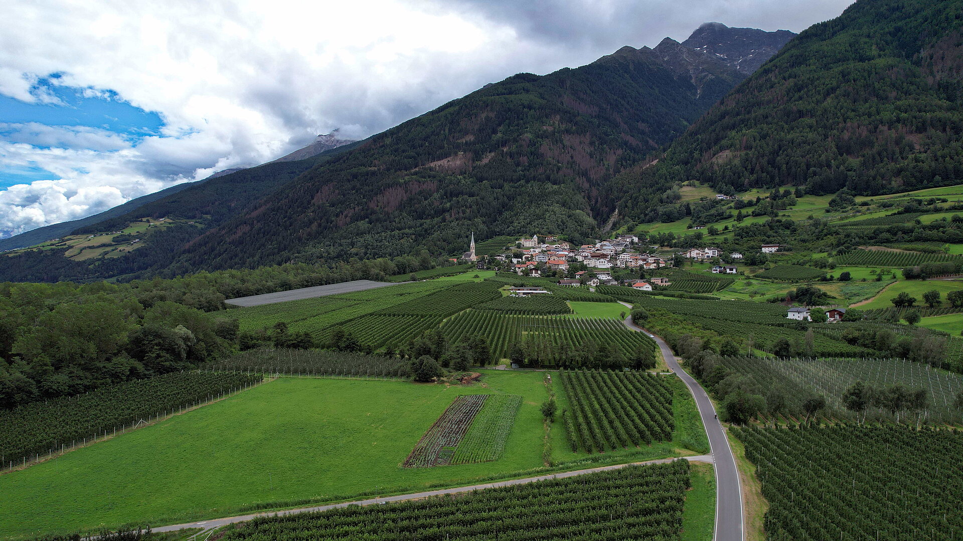 Etsch_Apfelplantagen_Kundenfoto